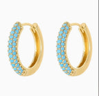 Premium Charming Turquoise Earrings
